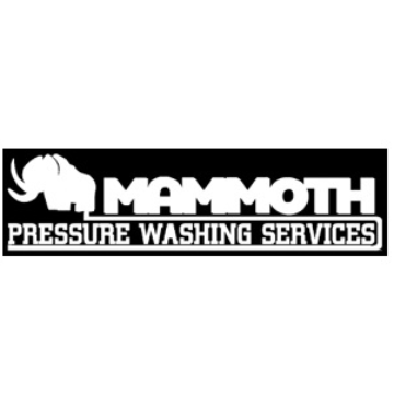 Trader Mammoth Pressure Washing Services
