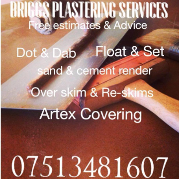 Trader Briggs Plastering Services