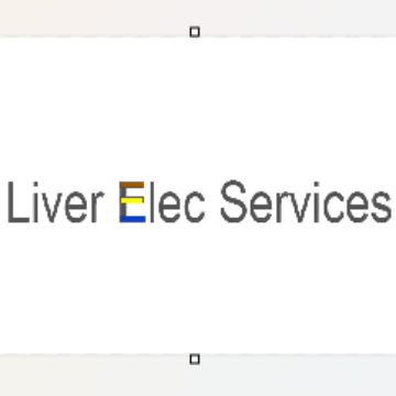 Trader LIVER ELEC SERVICES LTD