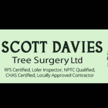 Trader Scott Davies Tree Services