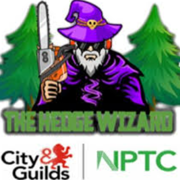 Trader THE HEDGE WIZARD