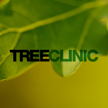 Trader TREE CLINIC LONDON LIMITED